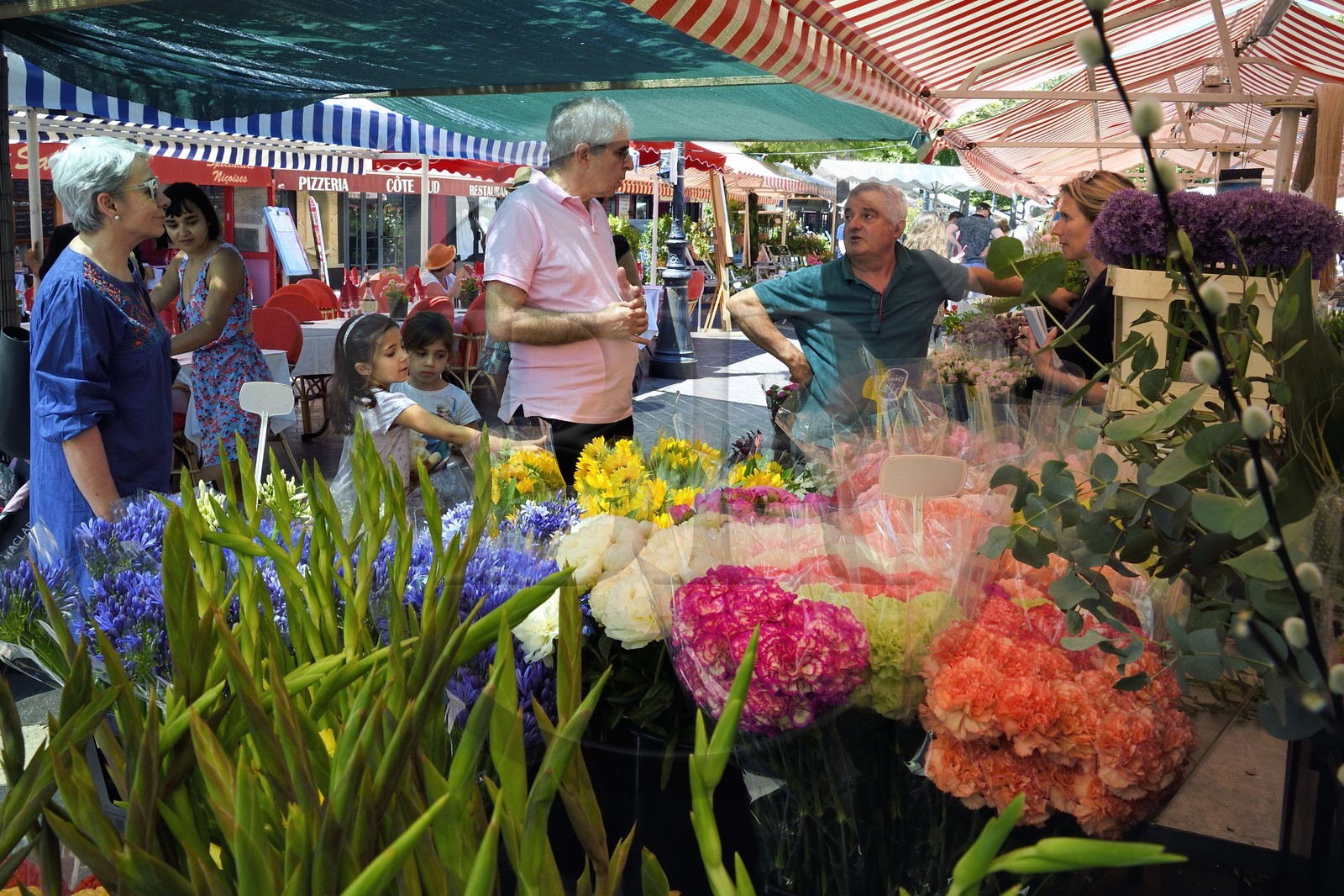 France, Alpes-Maritimes (06), Nice, vieille ville, marché du cours Saleya, marché aux fleurs, le fleuriste Jean-Patrice Mege