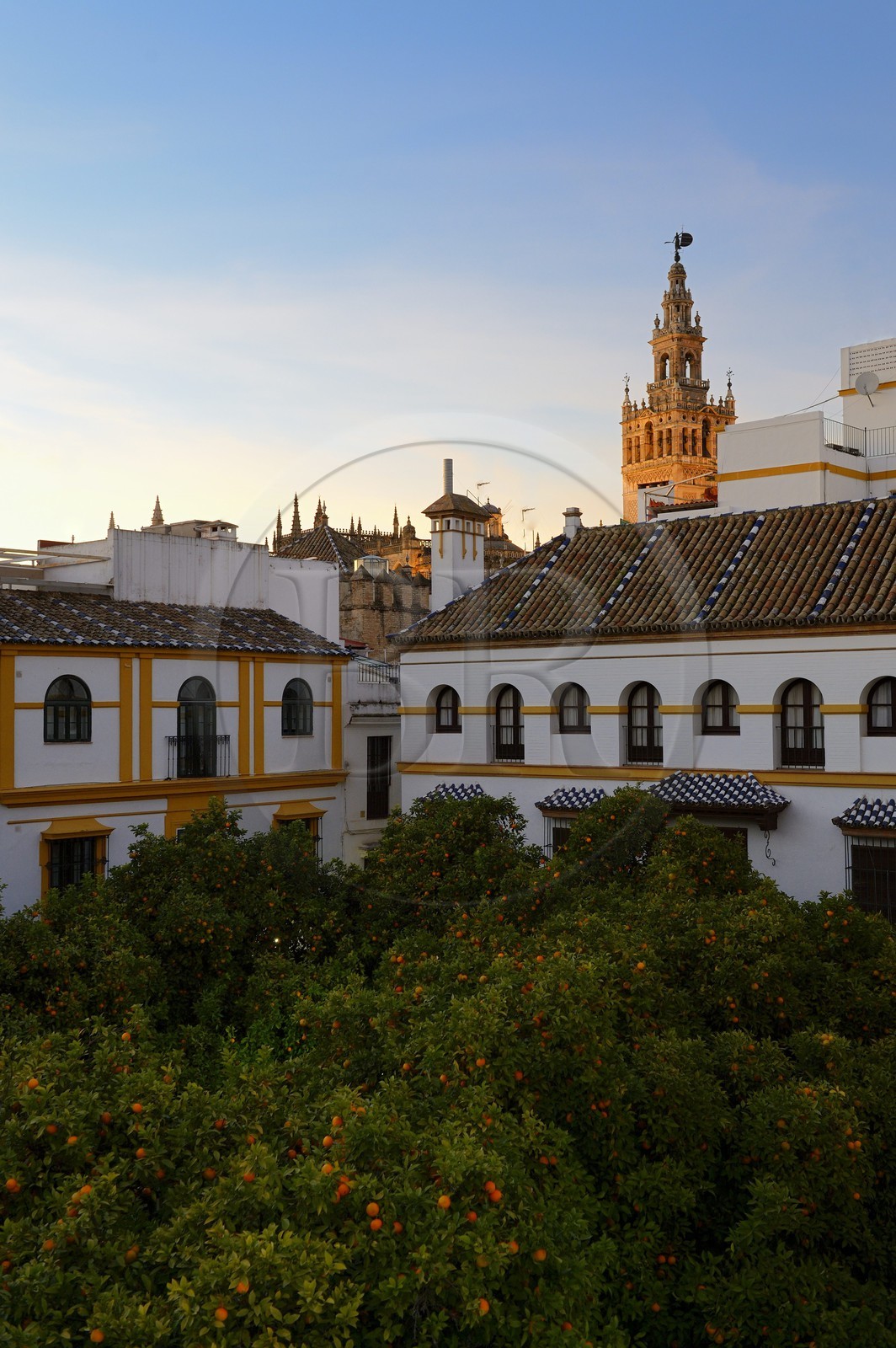 Espagne, Andalousie, Séville, quartier de Santa Cruz, plaza de Dona Elvira et La Giralda en arrière plan