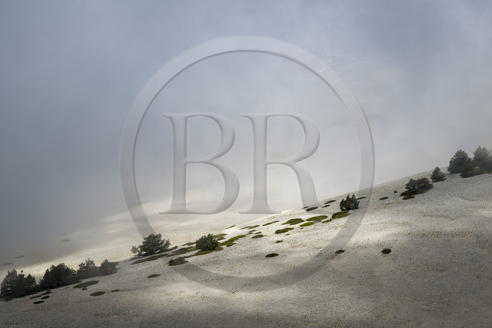 France, Vaucluse (84), Parc Naturel Régional du Mont Ventoux, Bedoin, vers le sommet du Mont Ventoux (1912m), la station météo dans les nuages, pierriers tapissés ici et là de genévriers nains