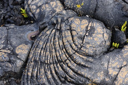 France, île de la Réunion, volcan du Piton de la Fournaise, classé Patrimoine Mondial de l'UNESCO, le Grand-Brûlé, coulée de lave de 2007