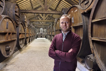 France, Calvados (14), Pays d'Auge, Saint-Cyr du Ronceray, Jean-Roger Groult producteur du Calvados Roger Groult AOC Pays d’Auge depuis cinq générations, tonneaux dans les chais de vieillissement