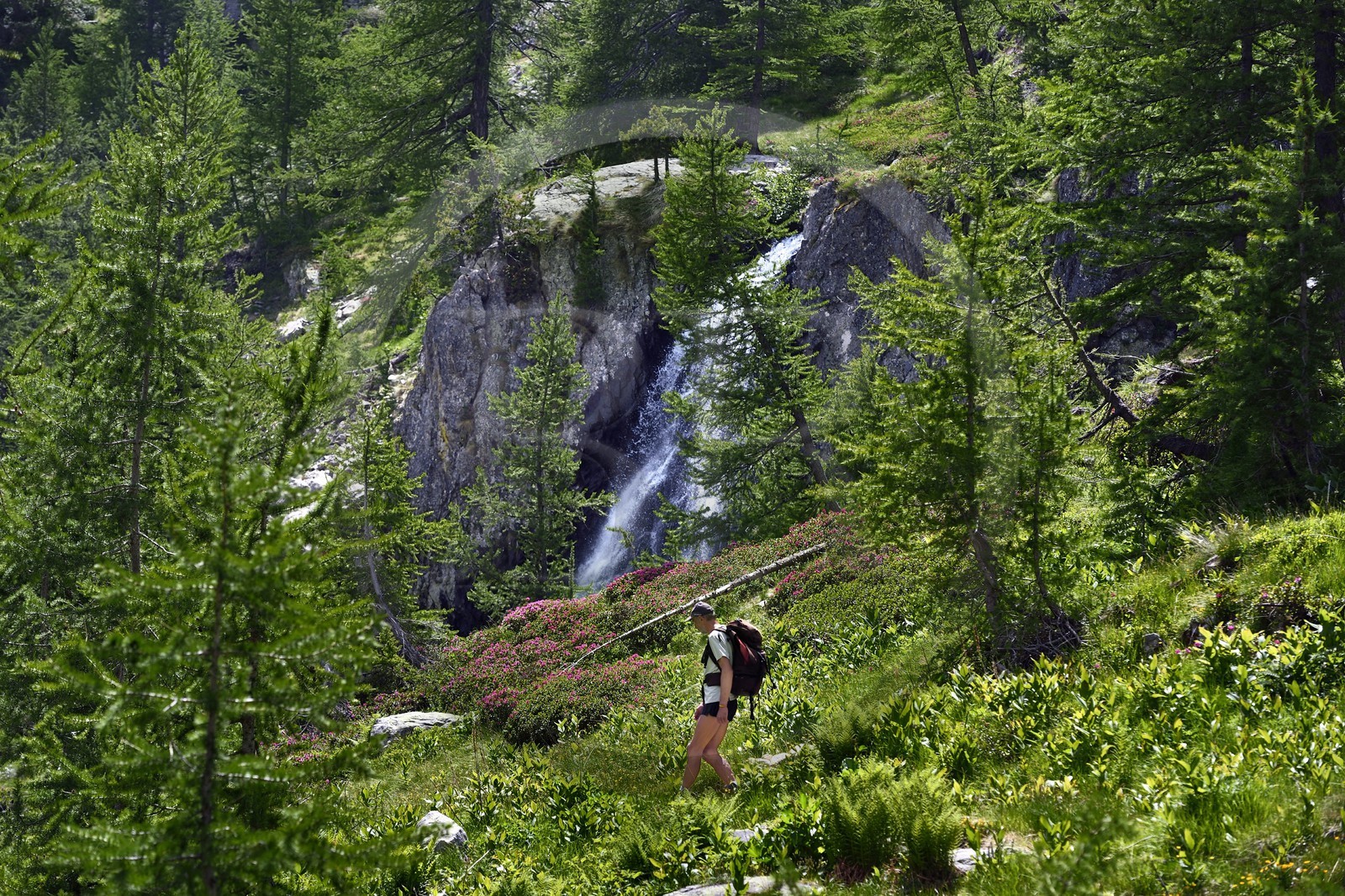 France, Alpes-Maritimes (06), parc national du Mercantour, vallée de la Valmasque, randonneur passant devant une cascade
