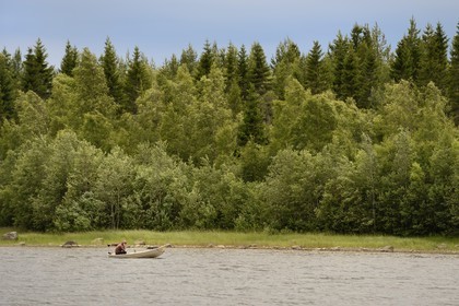 Suède, Comté de Vasterbotten, Umea, canot remontant la rivière Ume (Umeälven)