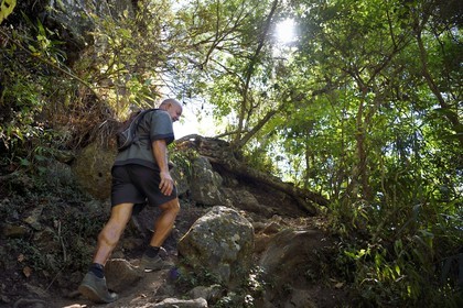 France, Ile de la Reunion, Parc National de la Réunion classé Patrimoine Mondial de l'UNESCO, La Possession, vers le village de Dos d'Ane, François Gaulin sur la randonnée de la Roche Bouteille par le sentier Cap Noir