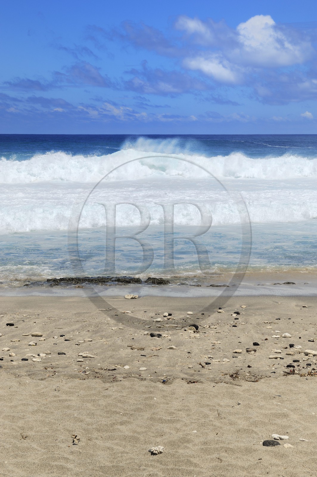 France, île de la Réunion, la côte sud, plage de Grand-Anse