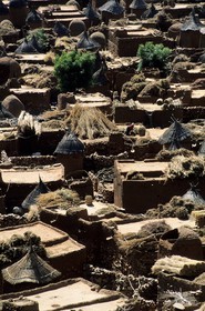 Mali, Dogon Country, Bandiagara Cliff listed as World Heritage by UNESCO, harvests in Songo village drying on the roofs
