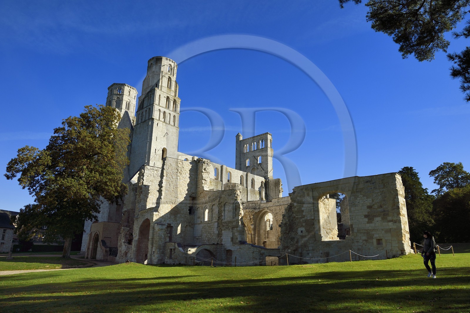 France, Seine-Maritime (76), Pays de Caux, Parc naturel régional des Boucles de la Seine normande, Jumièges, abbaye Saint-Pierre de Jumièges fondée au VIIe siècle