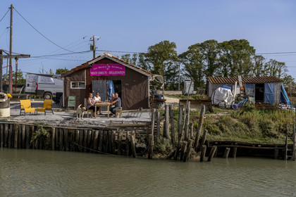 France, Charente-Maritime (17), Ile d'Oléron, Dolus-d’Oléron, chenal d’Arceau, vente d'huitres, crevettes et salicornes avec dégustation à la cabane de dégustation Les Marais de Salamine