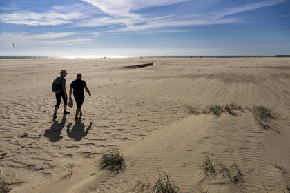 France, Vendée (85), Talmont-Saint-Hilaire, la Pointe du Payré, randonneurs sur la plage du Veillon