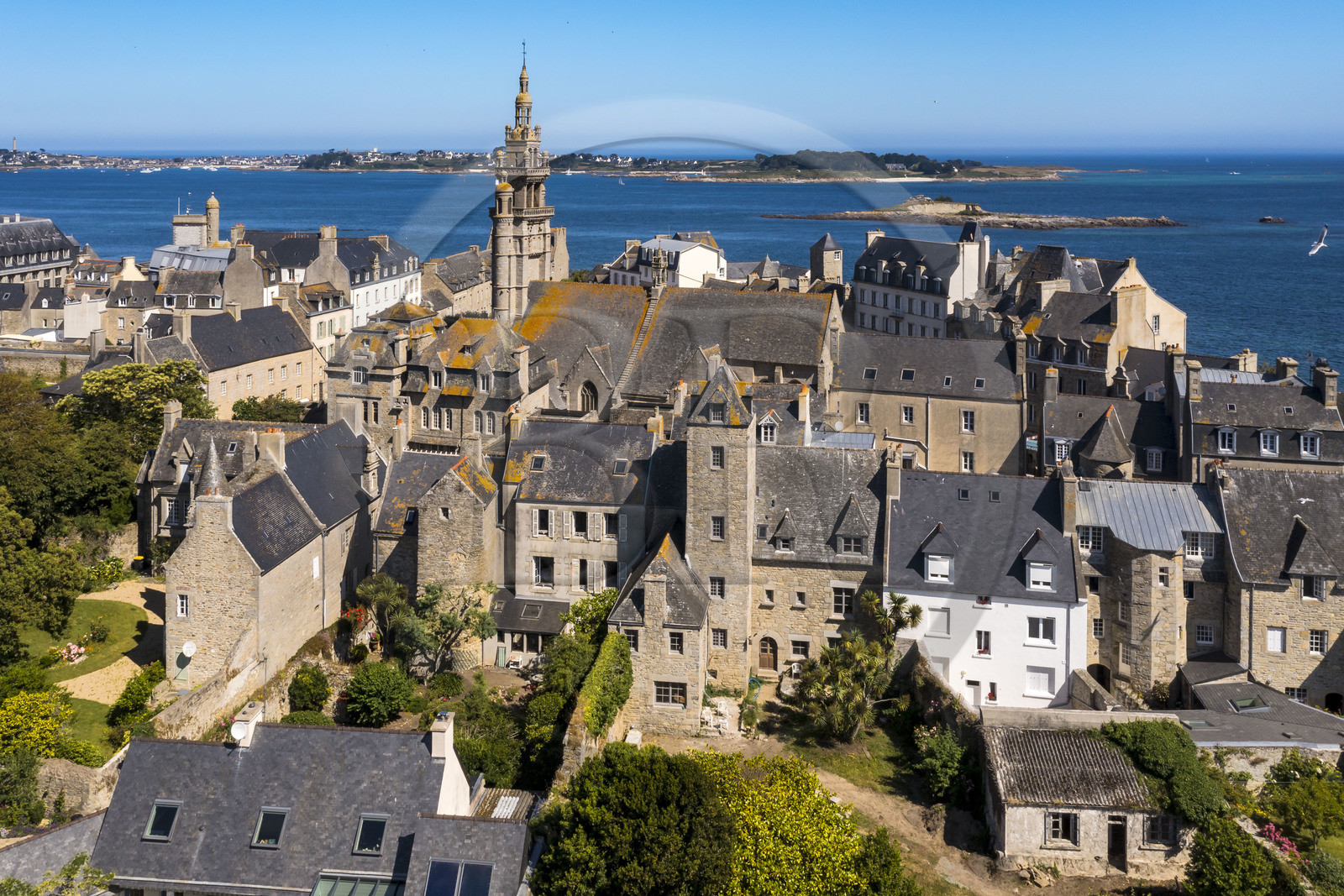 France, Finistère, Roscoff, the bell tower of the Notre-Dame de Croaz Batz church and the back of old shipowners' houses including those of the James brothers built at the end of the 16th century, the Batz island in the background (aerial view)