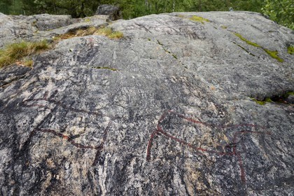 Suède, Comté de Vasterbotten, Umea, gravures rupestres de Norrfors datant de 2000-3000 avant Jésus-Christ