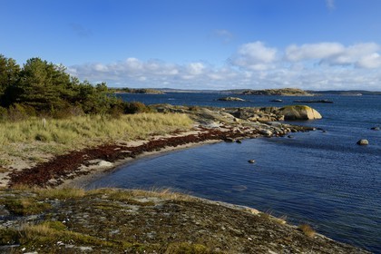 Suède, Västra Götaland, Iles Koster, plage de Sydkoster
