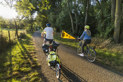 France, Maine-et-Loire (49), vallée de la Loire classée au Patrimoine Mondial par l'UNESCO, Saumur vers Saint-Hilaire, randonnée à bicyclette le long des berges de la Loire sur la piste cyclable La Loire à Vélo, vélo avec une remorque transportant le matériel de camping