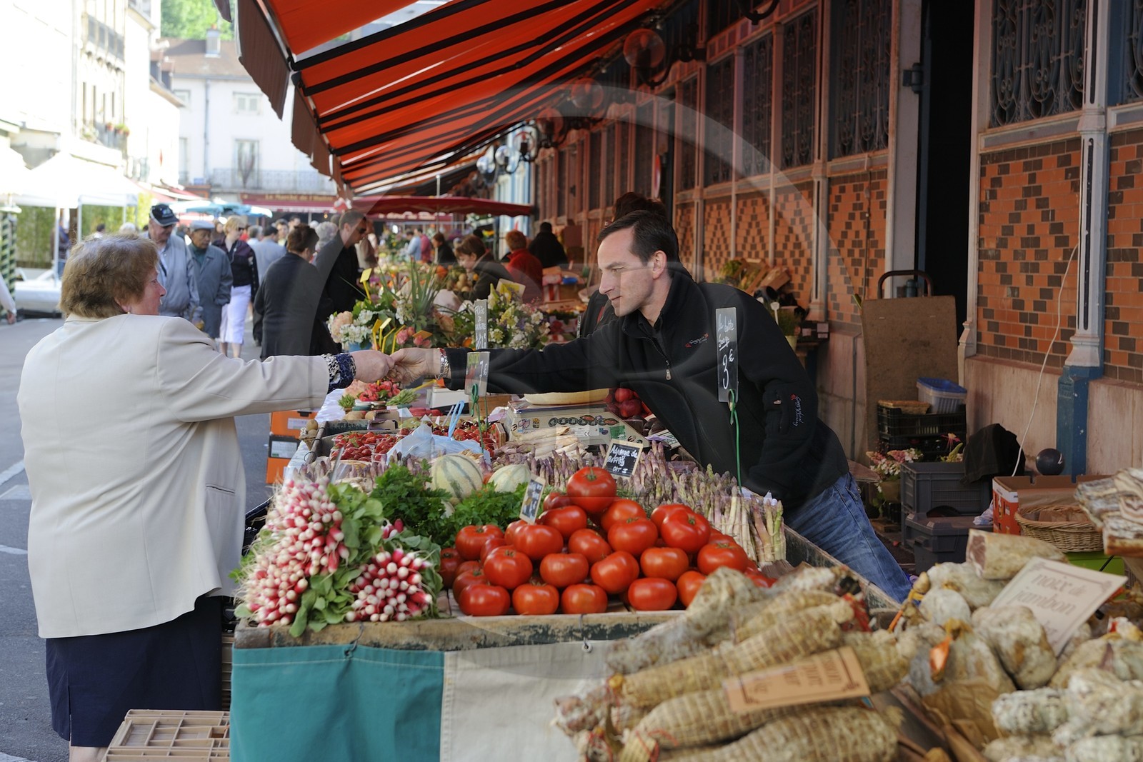 France, Côte d'Or (21), Dijon, les Halles