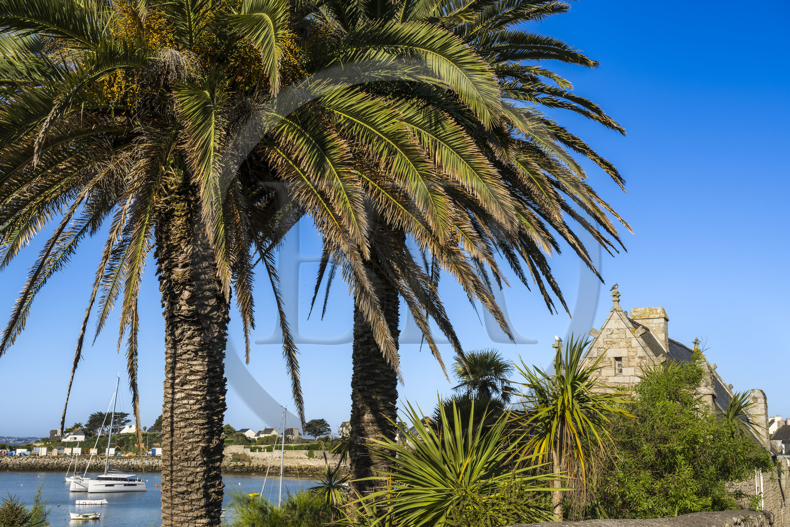 France, Finistère, Ponant Islands, Ile de Batz (Batz Island), the village on the edge of the bay of Porz-Kernok in the early morning