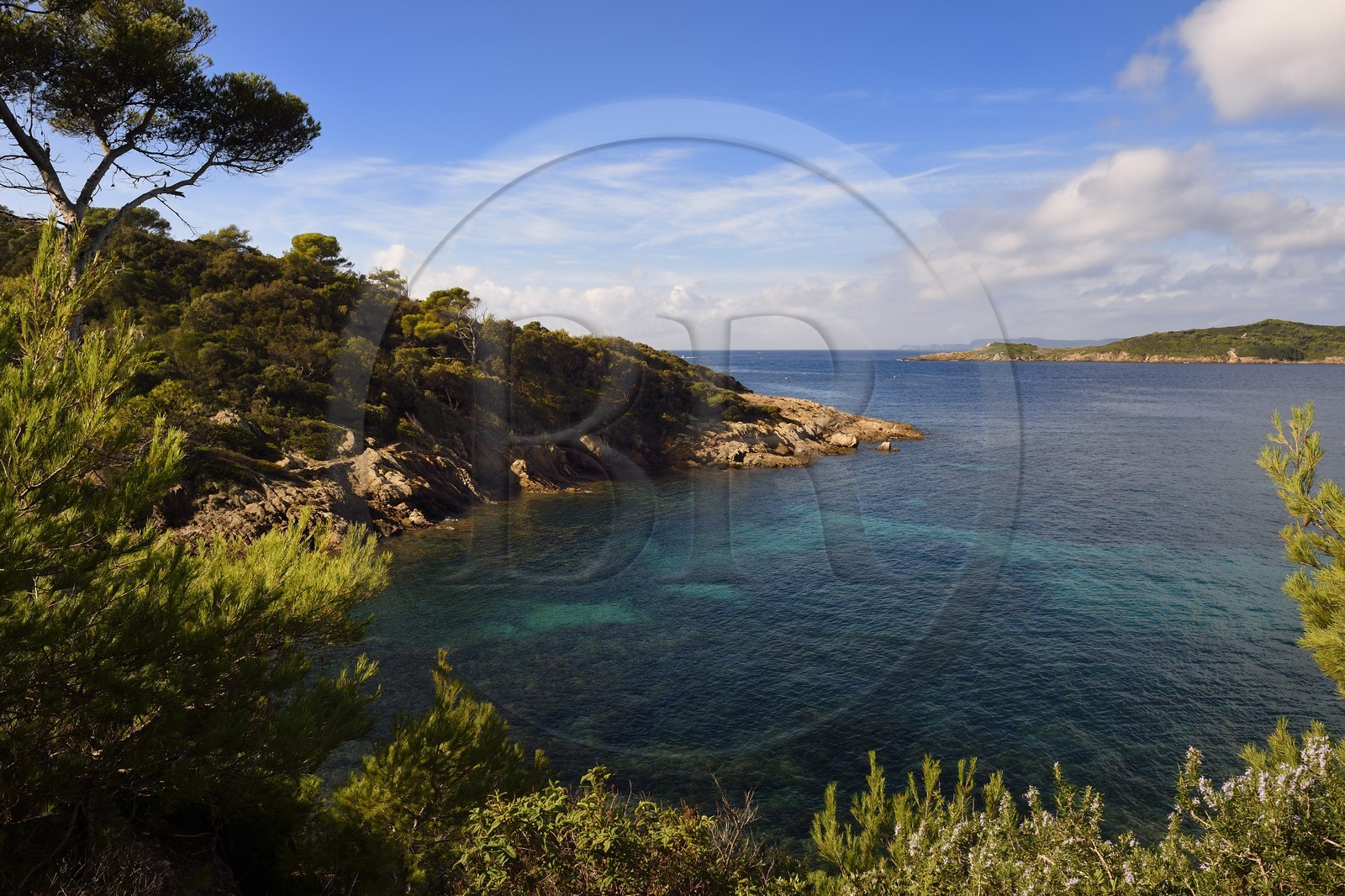 France, Var (83), Iles d'Hyères, parc national de Port Cros, Ile de Port-Cros, crique faisant face à l'Ile de Bagaud qui est une réserve intégrale