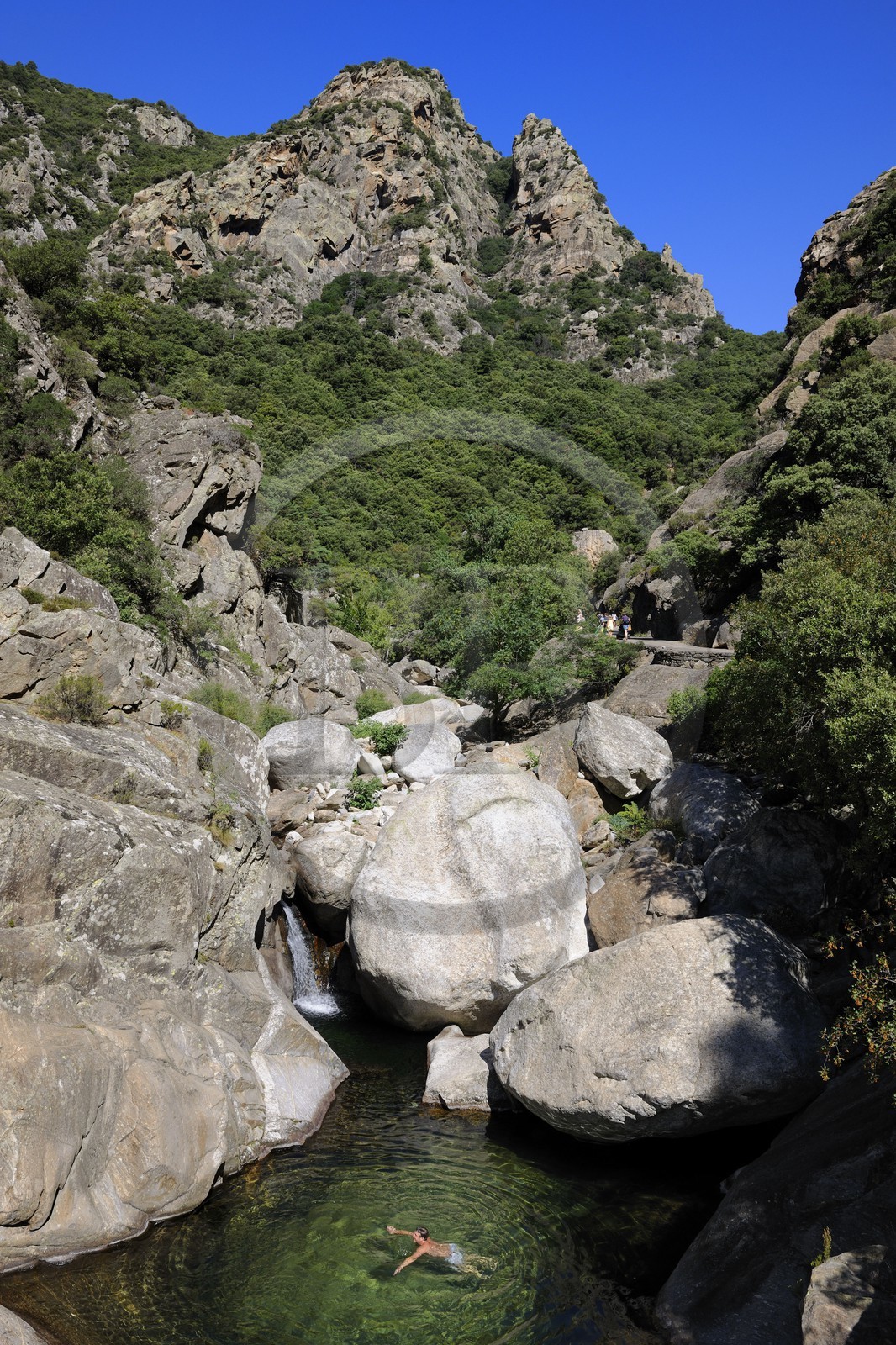 France, Herault, Mons la Trivalle, Heric gorges in the mountain of Caroux at the heart of the Regional Natural Park of Upper Languedoc