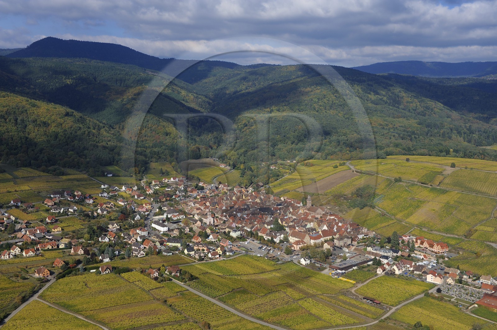 France, Haut-Rhin (68), Riquewihr et son vignoble au pied du massif des Vosges (photo aérienne)