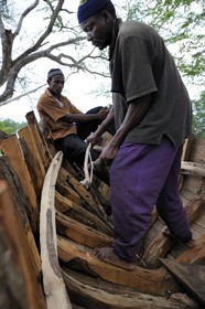 Tanzanie, archipel de Zanzibar, île de Unguja (Zanzibar), ville de Zanzibar, chantier naval près des ruines de Maruhubi Palace, fabrication d'un dhow