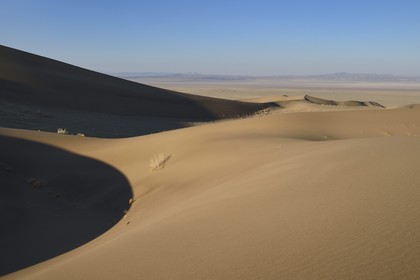 Iran, Province de Yazd, désert du Dasht-e Kavir, Moghestan, massif dunaire dont la plus haute dune atteint les 200 mètres