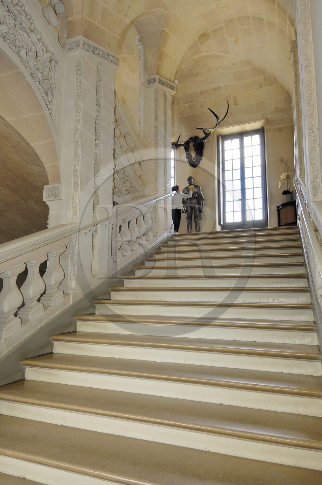 France, Loir-et-Cher (41), château de Cheverny, le grand escalier d'honneur cher à Hergé
