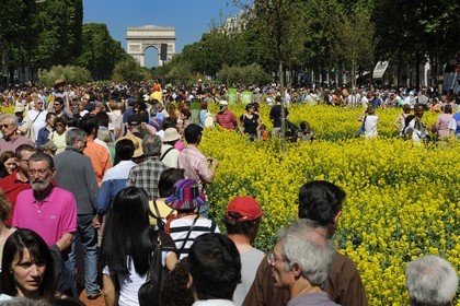 operation Nature Capitale 2010 on the Champs-Elysées