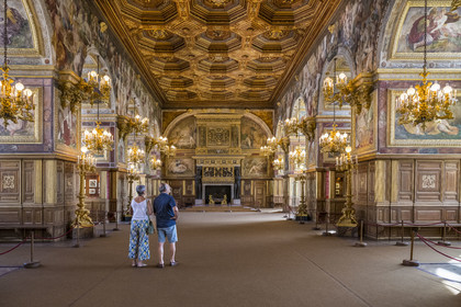 France, Seine-et-Marne (77), Fontainebleau, chateau de Fontainebleau, classé Patrimoine Mondial par l'UNESCO, la salle de bal avec un plafond à caissons décoré d'or et d'argent