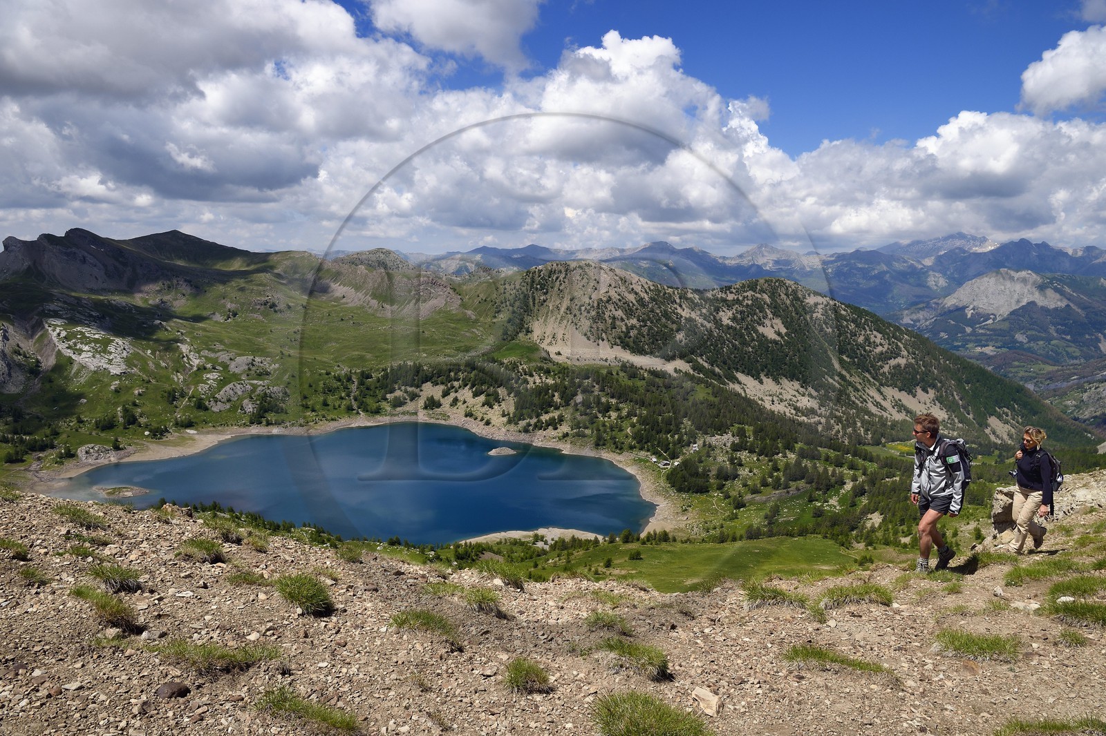 France, Alpes-de-Haute-Provence (04), Uvernet-Fours, parc national du Mercantour, vallée de l'Ubaye, sentier de randonnée du circuit des lacs du col de la Cayolle, le lac d'Allos et la vallée du Verdon en arrière plan