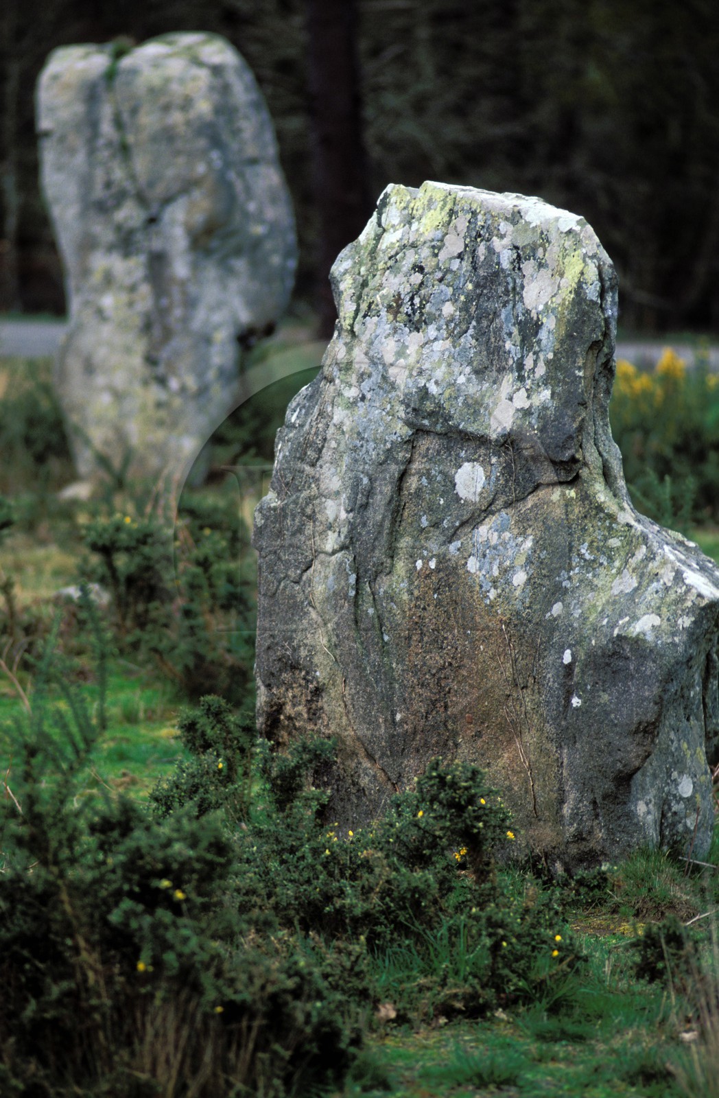 France, Morbihan (56), les mégalithes de Carnac (alignements de menhirs)