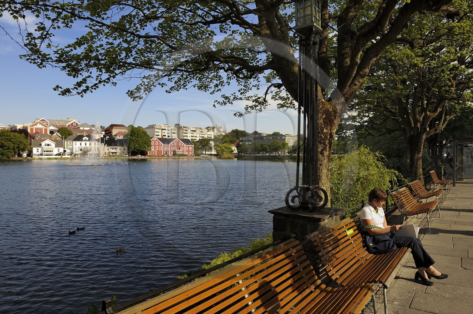 Norvège, Rogaland, Stavanger, autour du lac Breiavatnet
