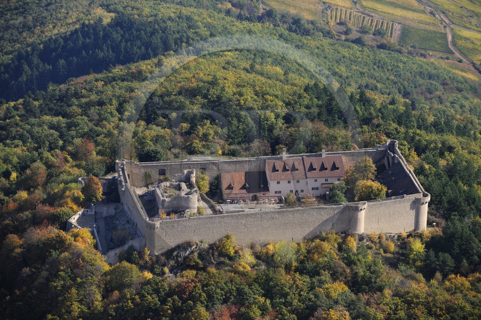 France, Haut-Rhin (68), le château de Hohlandsbourg dans le massif des Vosges sur les hauteurs d'Eguisheim (photo aérienne)