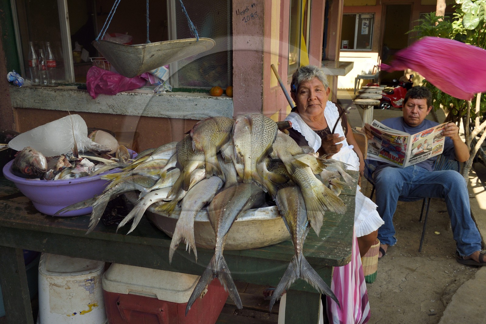 Nicaragua, Leon, Sutiaba district market, the saleswoman moves away the flies from her fishes