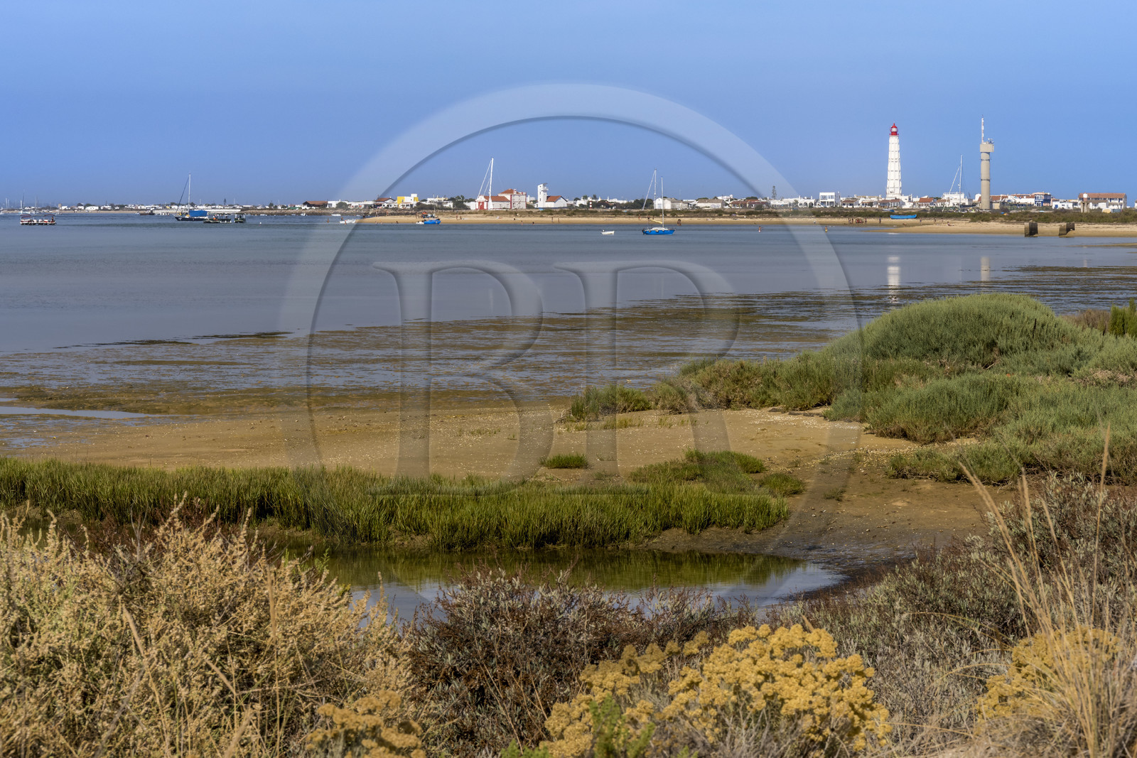 Portugal, Algarve, Parc naturel de la Ria Formosa, Faro, Ile de Barreta ou Deserta (Ilha da Barretta ou Deserta), le phare de Ilha do Farol sur Ilha da Culatra en arrière plan