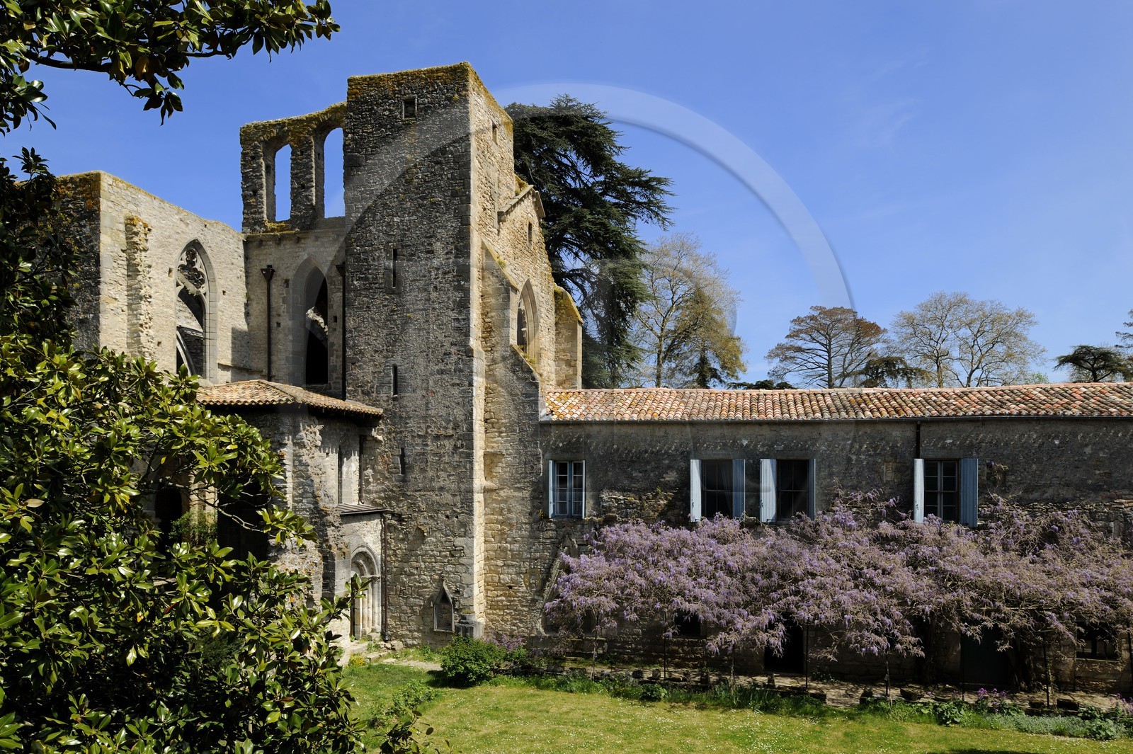 France, Aude (11), Saint-Martin-le-Vieil, ancienne abbaye cistercienne de Villelongue et chambre d'hôte