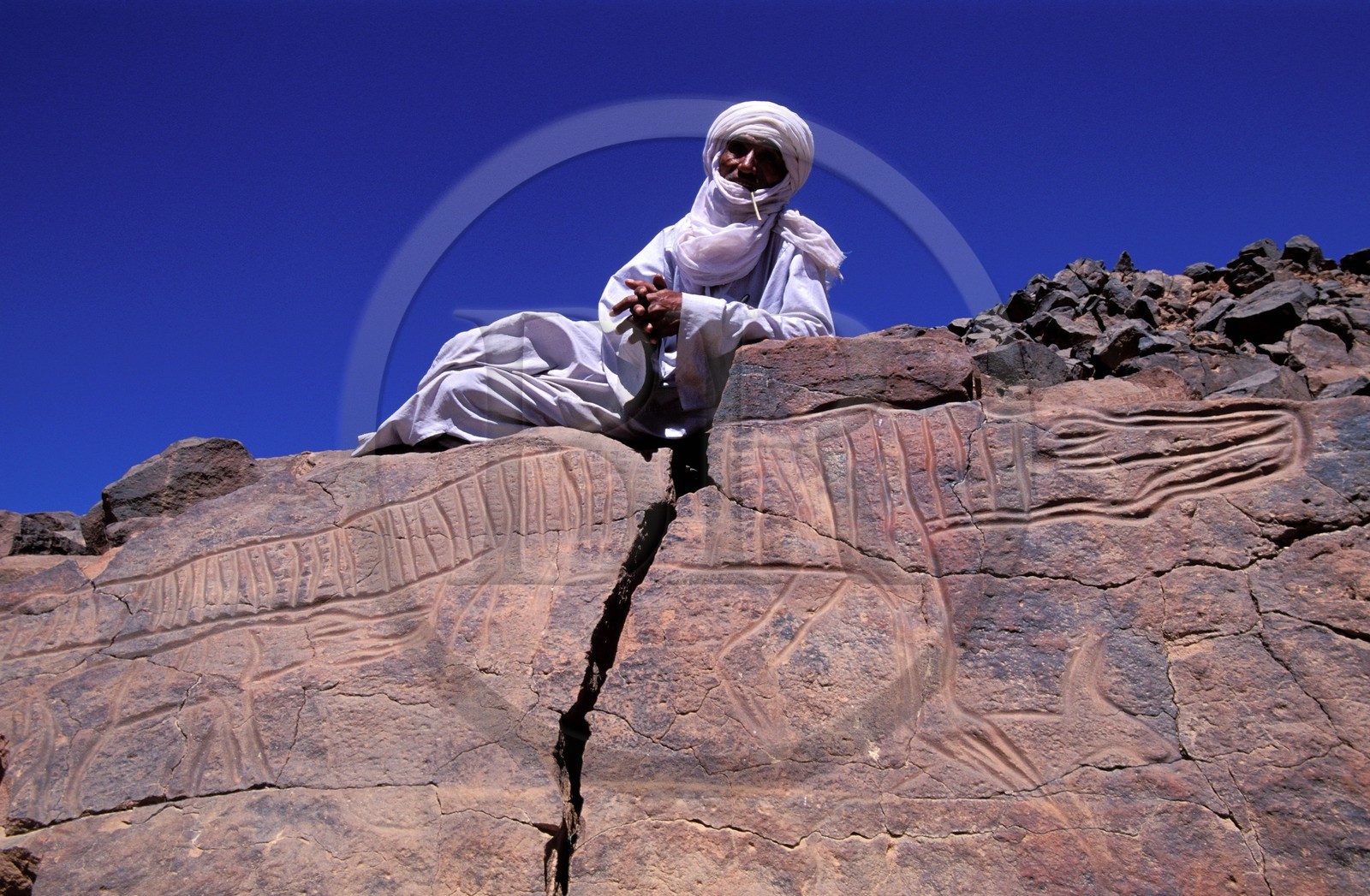Libye, région du désert, Le Fezzan (Sahara), Messak Setafet, gravures rupestre du Matkhendoush représentant un crocodile