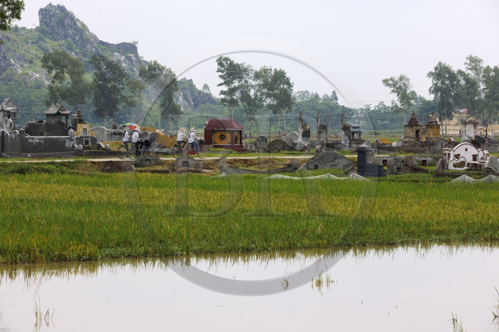 Vietnam, Ha Tay province, Buddhist cemetery