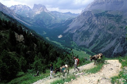 France, Hautes-Alpes (05), randonnée avec ânes sur un sentier de la Vallée Etroite au nord de Briançon