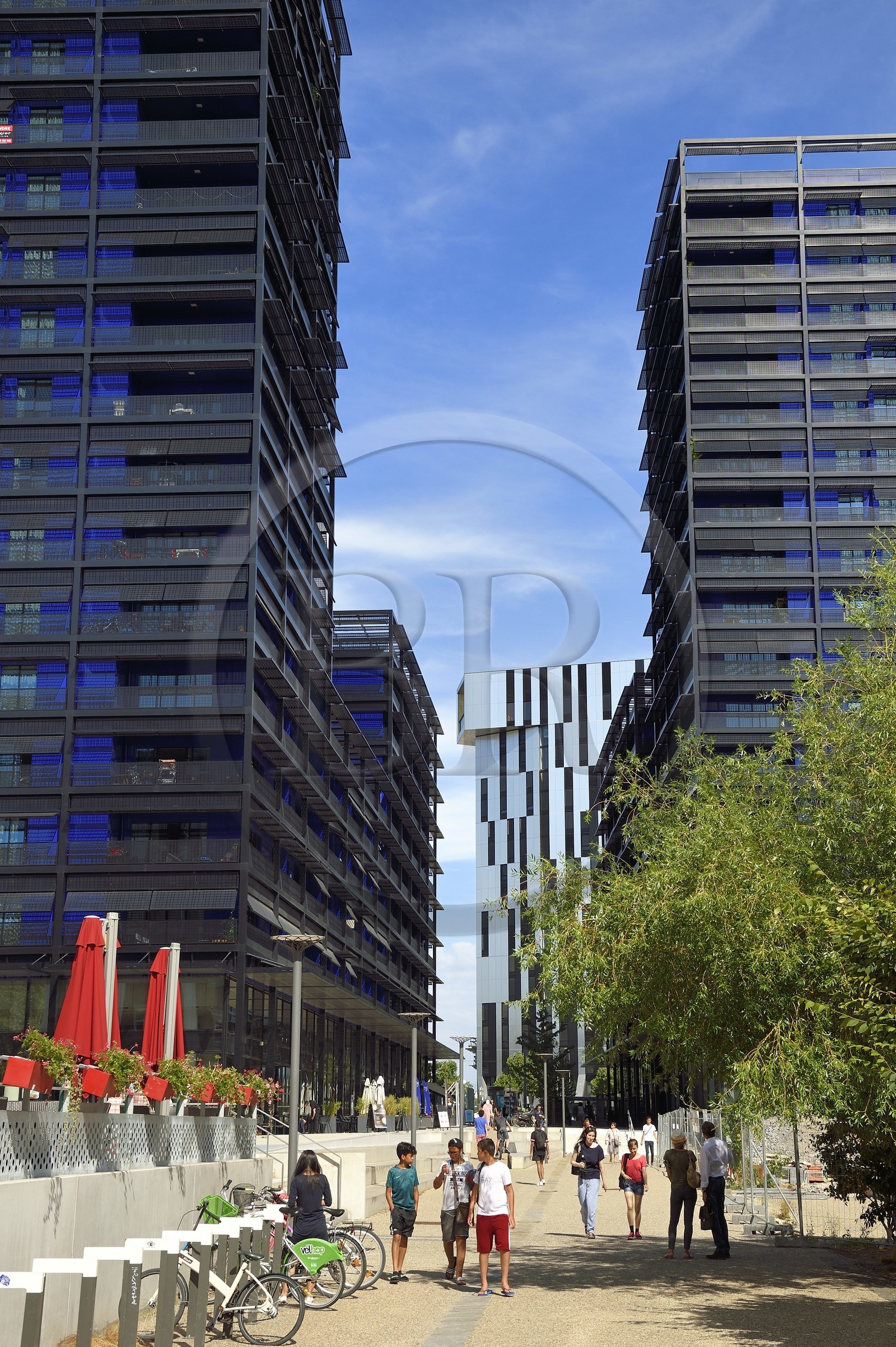 France, Bas-Rhin (67), Strasbourg, amenagement du port du Rhin et reconversion du mole du Bassin d'Austerlitz, presqu'ile Malraux, immeubles les Black Swans par l’architecte Anne Demians et la tour Elithis en arrière plan