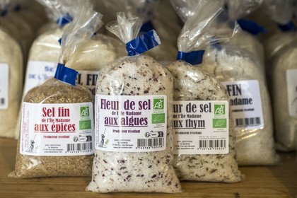 France, Charente-Maritime (17), Port-des-Barques, Ile Madame, la Ferme Aquacole de l'Ile Madame, le sel de leur saline