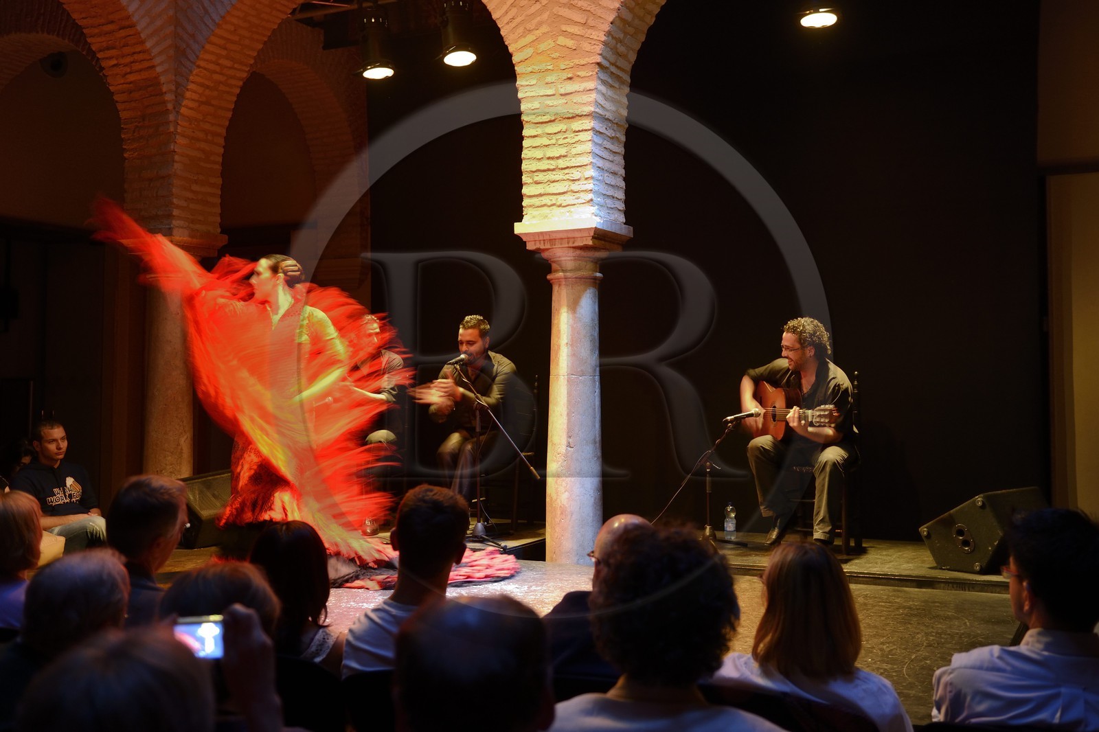 Espagne, Andalousie, Séville, quartier de Santa Cruz, musée de la dance flamenco