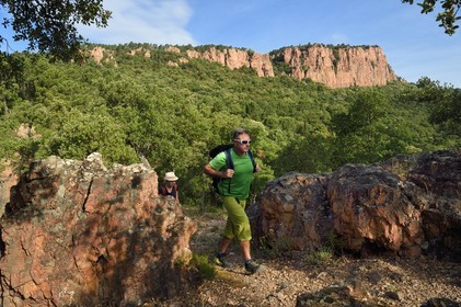 France, Var, between Bagnols en Foret and Roquebrune sur Argens, hike in the Gorges du Blavet with the tour guide Eric Gorlet