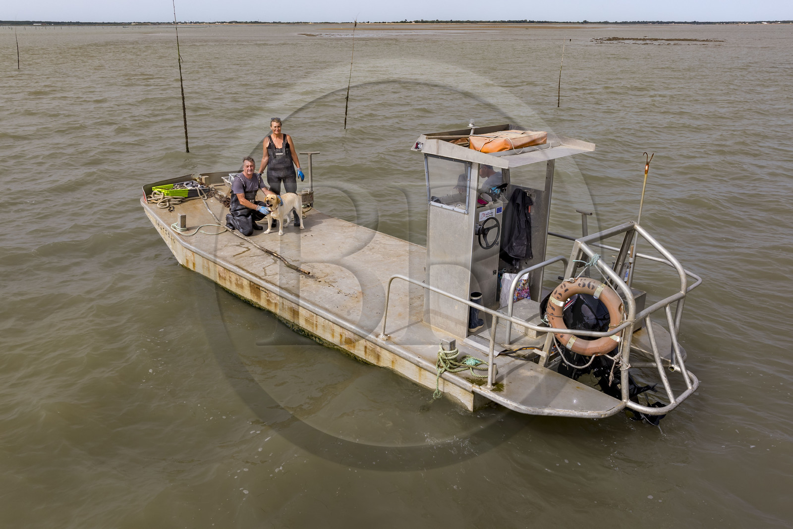 France, Charente-Maritime (17), Ile d'Oléron, Dolus-d’Oléron, les parcs du bassin de Marennes-Oléron dans le Pertuis d'Antioche, Nadia Quillet et son mari Eric récupèrent des poches de crassostrea gigas dans leurs parcs à huîtres à marée descendante (vue aérienne)
