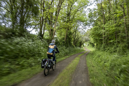 France, Vendée (85), Saint-Michel-le-Cloucq, cycliste sur la piste de la véloroute Vendée Vélo Tour
