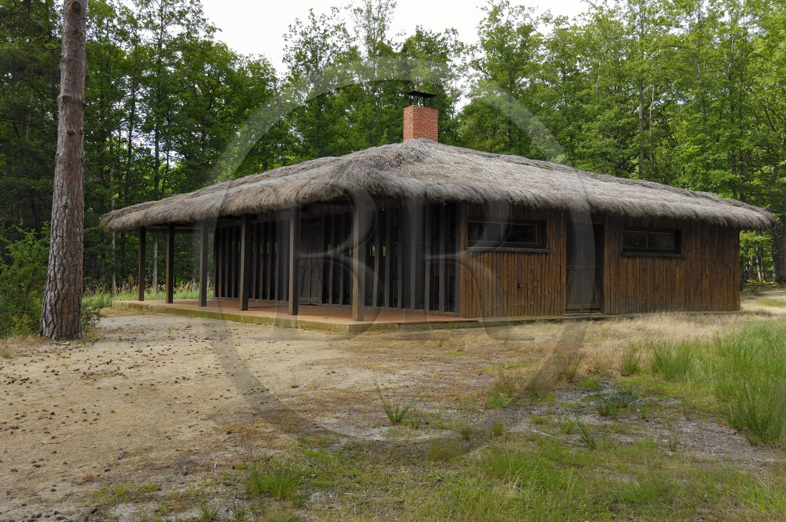 France, Loire et Cher, étang dans le domaine du château de Chambord