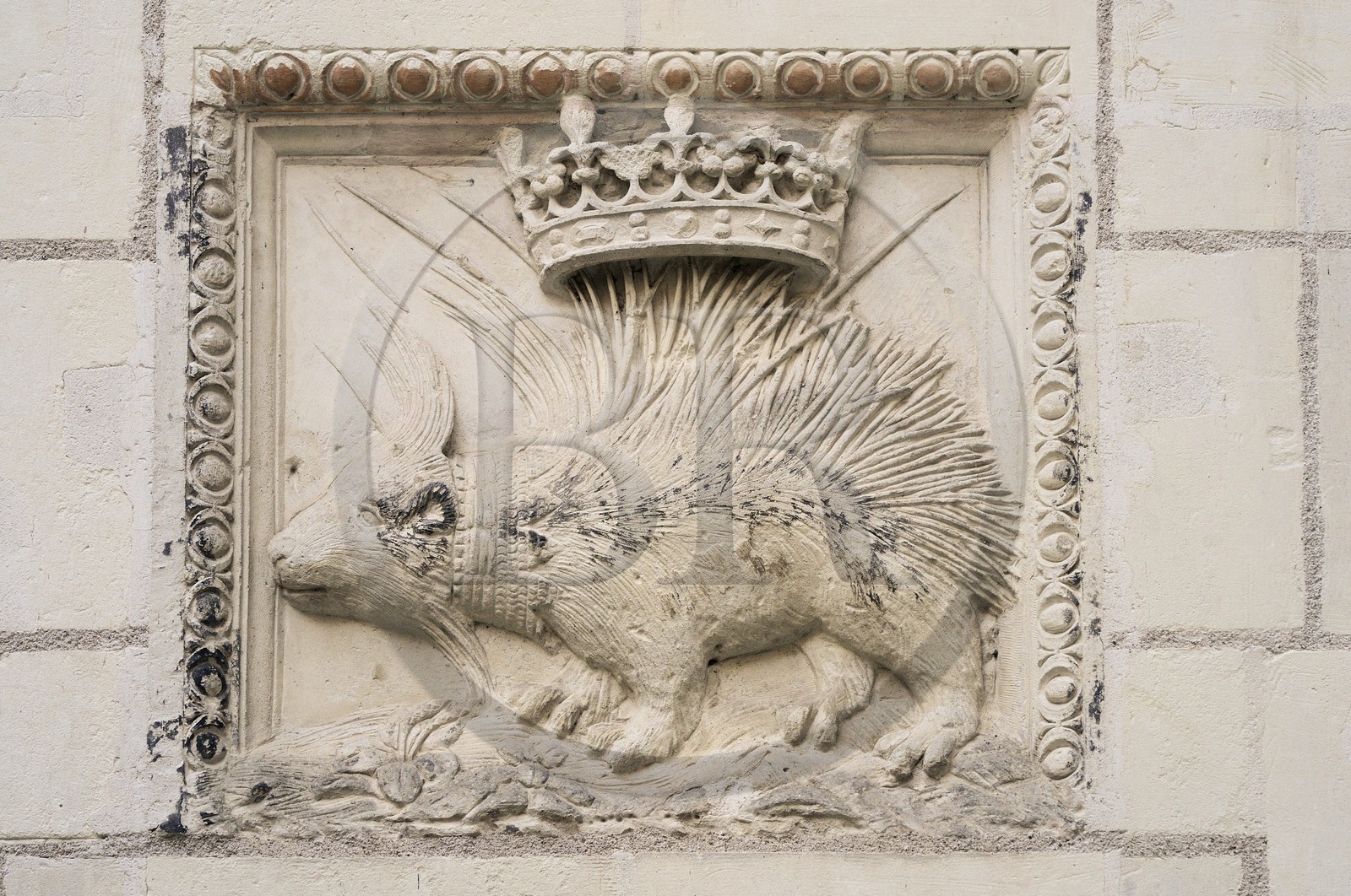 France, Loir-et-Cher (41), vallée de la Loire classée au Patrimoine Mondial de l'UNESCO, Blois, hôtel particulier Sardini rue du Puits-châtel, seul Porc-épic de Louis XII original