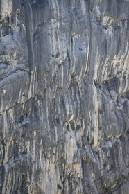 France, Alpes-de-Haute-Provence (04), Parc Naturel Régional du Verdon, les Gorges du Verdon, grimpeurs sur une falaise du couloir Samson en contrebas du village de Rougon et du Point Sublime