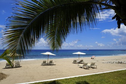 France, île de la Réunion, la Côte Ouest, commune de Saint Gilles les Bains, plage de Boucan Canot, l'hôtel de luxe Le Saint Alexis