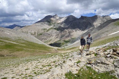 France, Alpes de Haute Provence, Uvernet Fours, Mercantour National Park, Ubaye valley, lake tour hiking trail of the Cayolle pass at the Pas du Lausson and the Mount Pelat (3051 m) in the background