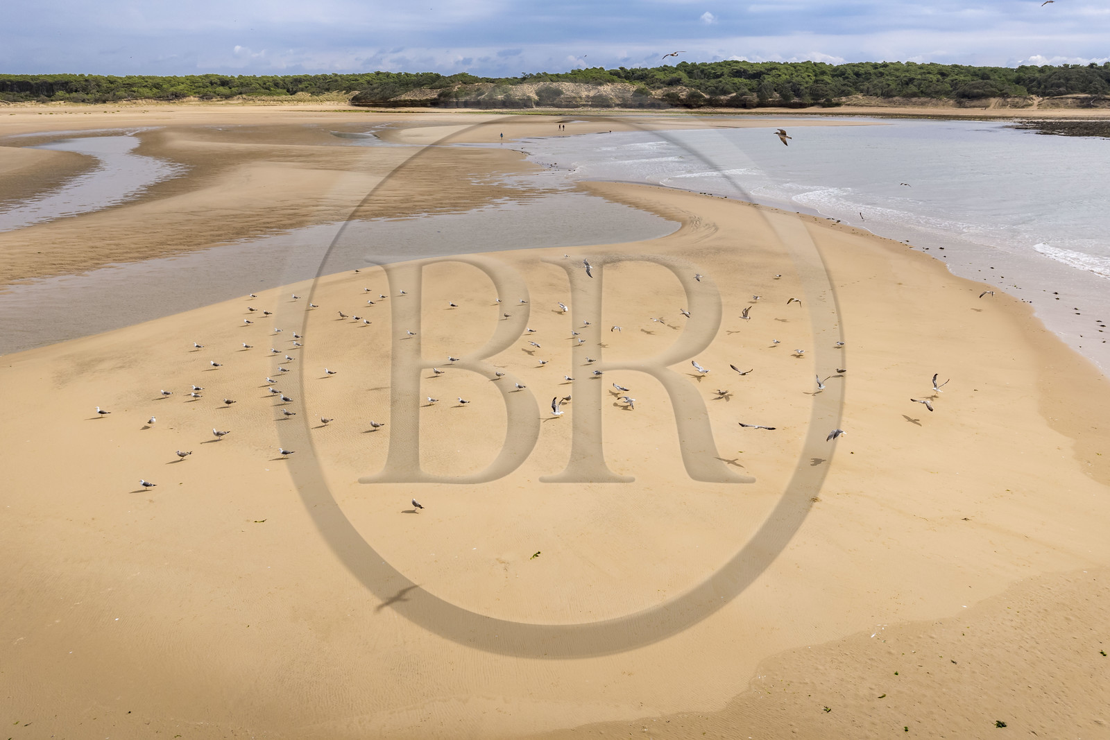 France, Vendée (85), Talmont Saint Hilaire, la Pointe du Payré, walkers and seagulls on the Veillon beach and estuary of the Payré river (aerial view)