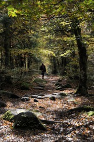 France, Haut-Rhin (68), la route des Crêtes, réserve naturelle de Tanet-Gazon-du-Faing,  randonneurs sur le chemin passant sur l'ancienne frontière franco-allemande